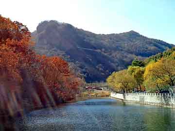 新澳天天开奖资料大全旅游团，替嫁丫鬟